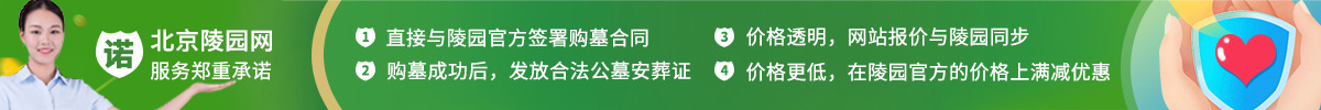 服务承诺
