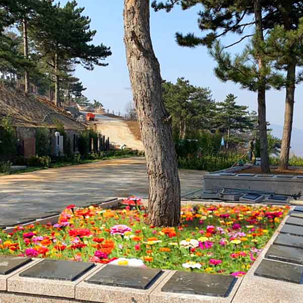 花坛葬-东三区