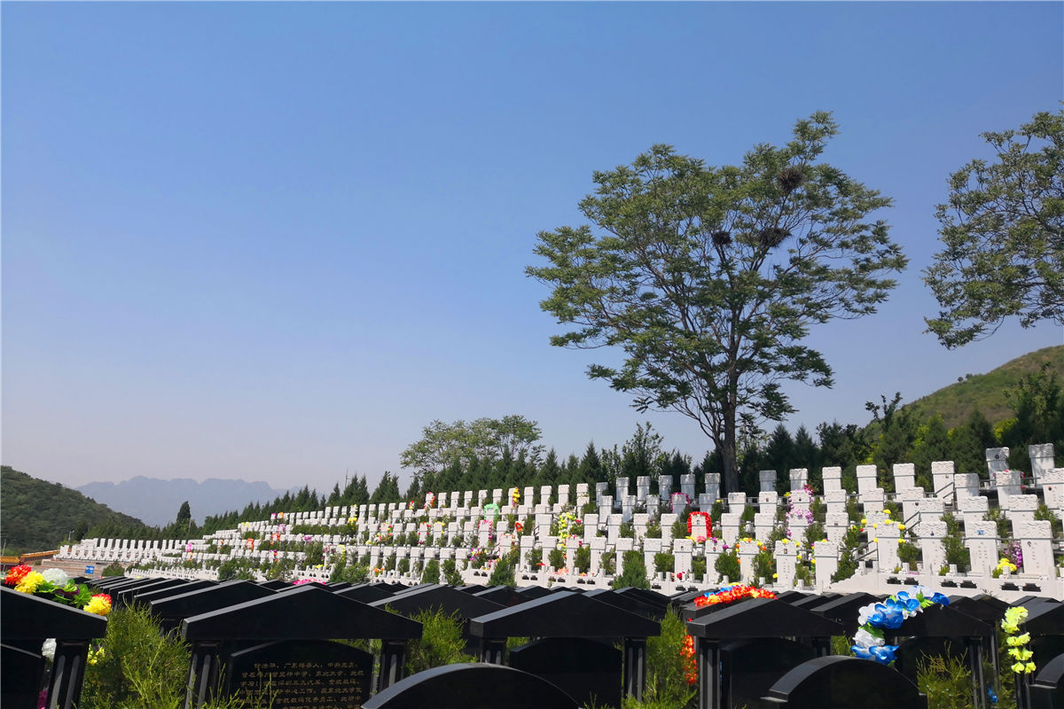 园区环境