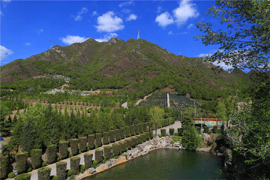 园区环境