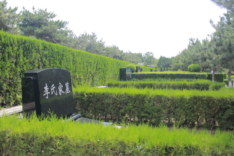园区环境
