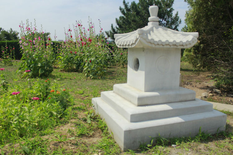 园区环境