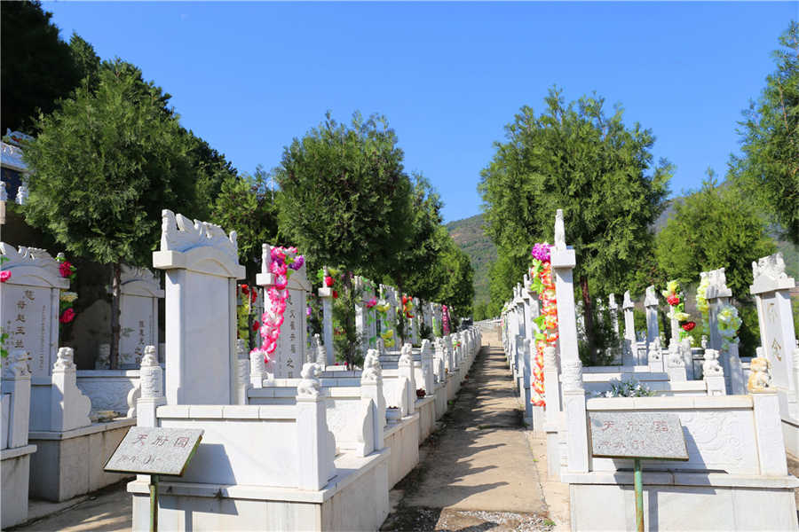 环境(6)