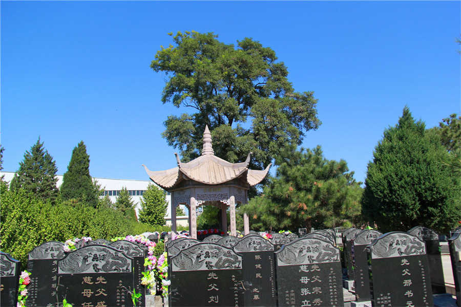 墓区(1)