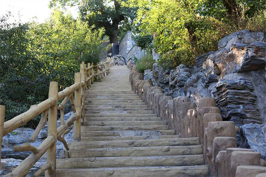 墓区(3)