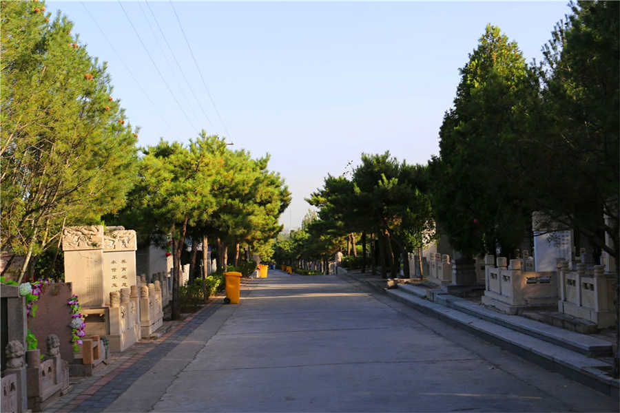 道路