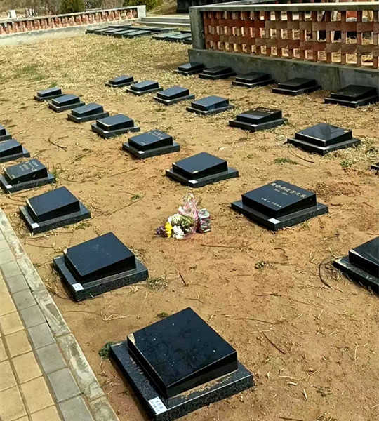 草坪葬