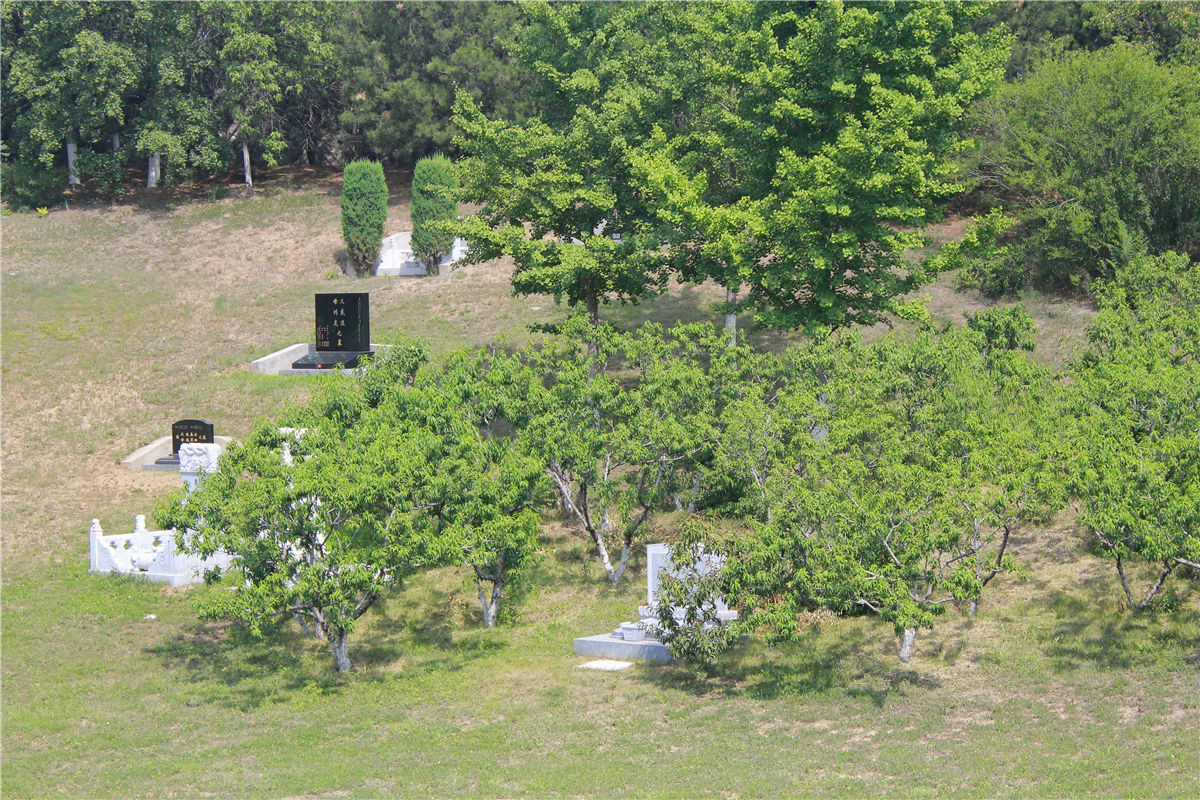 北京九公山陵园墓地价格是多少钱-1
