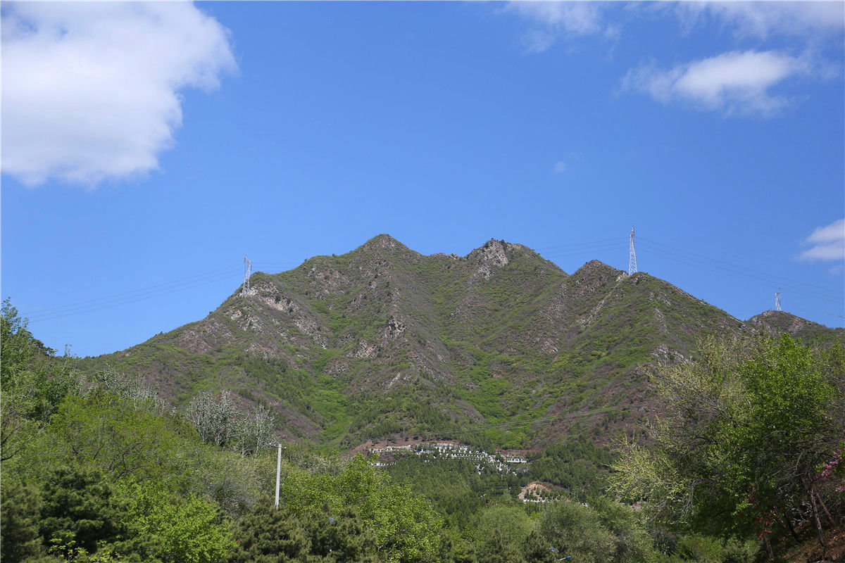 昌平区景仰园陵园壁葬树葬花坛葬生态葬价格多少-2