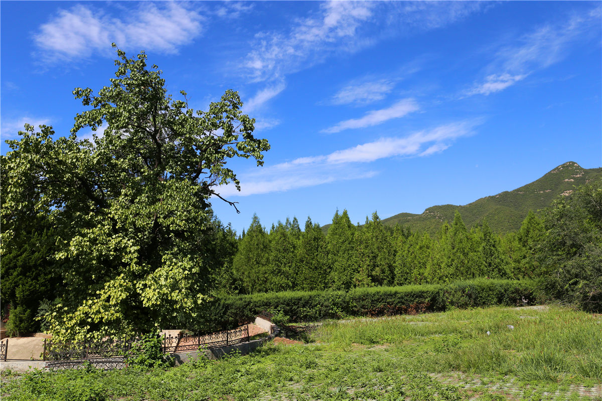 04年时北京门头沟天山陵园多少钱-1