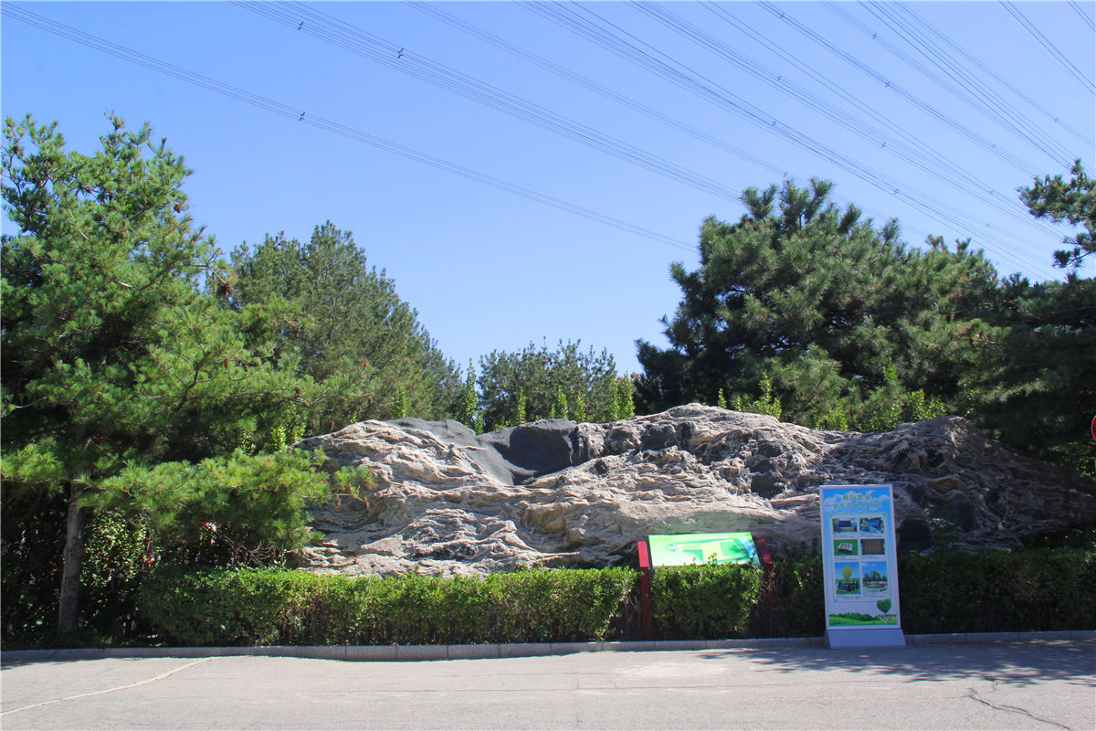 北京树葬价格表-太子峪陵园树葬价格表最新-2