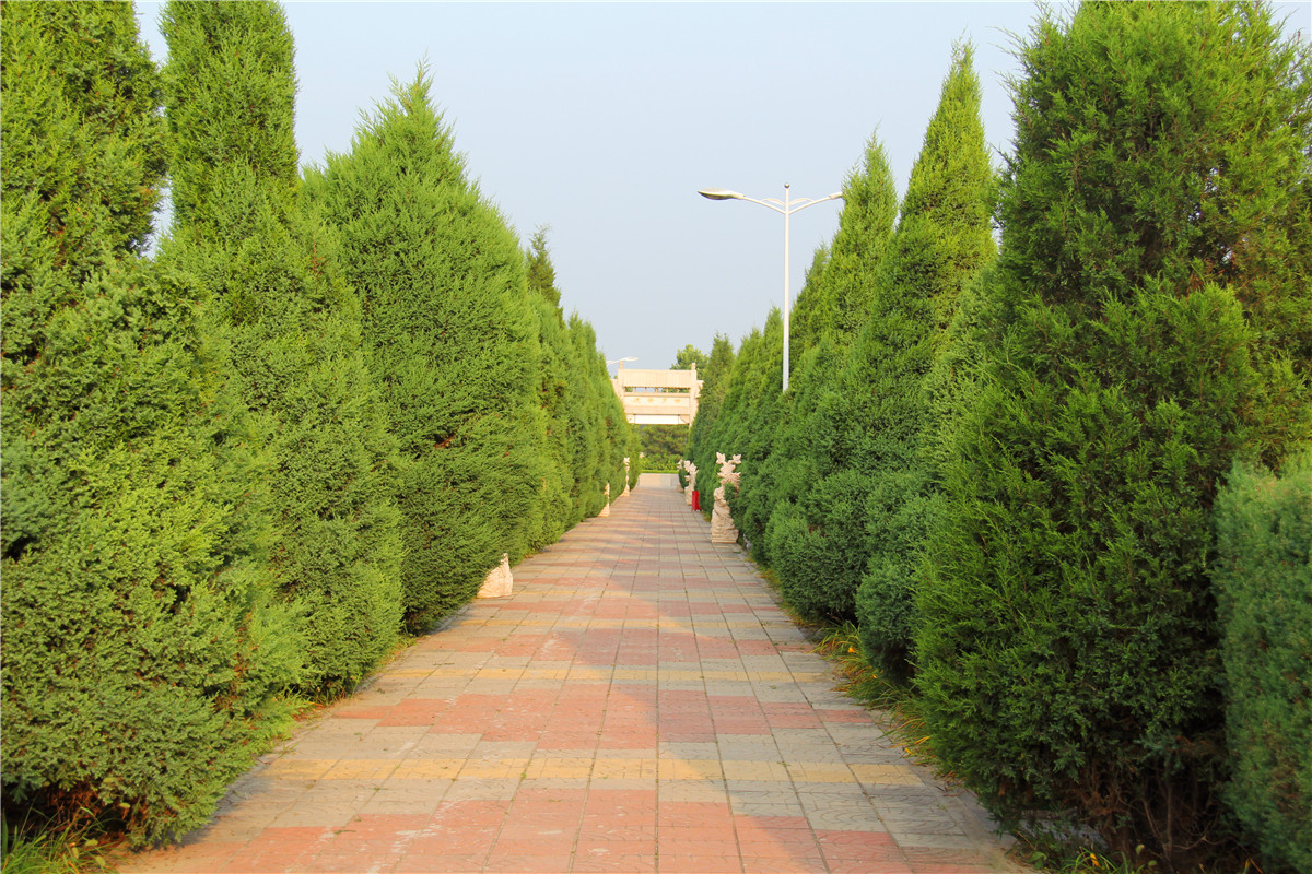万佛华侨陵园墓地价格多少钱墓地环境怎么样-2