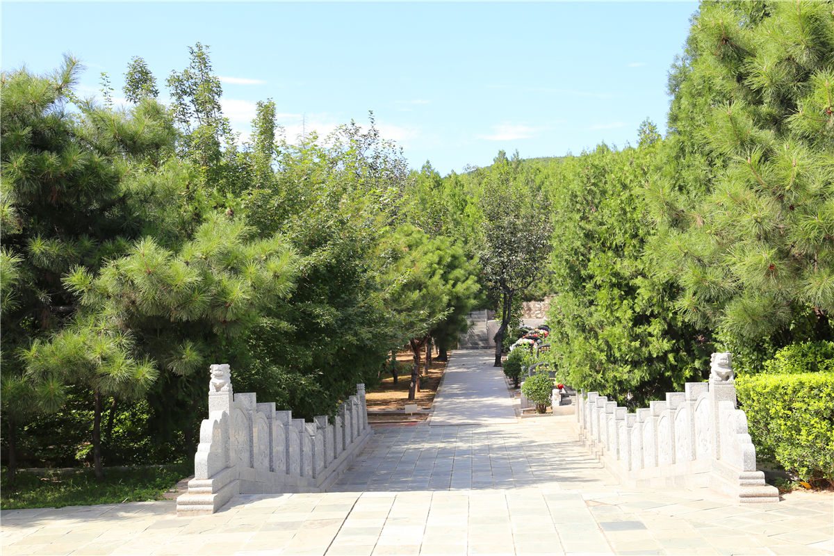 北京陵园怎么选优先选择天寿陵园、九公山纪念林！-2