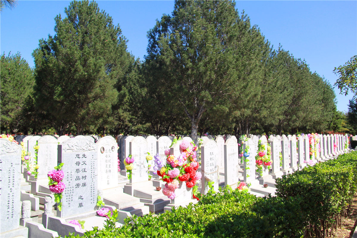 廊坊文安清颐园公墓地址在哪多少钱一个-1