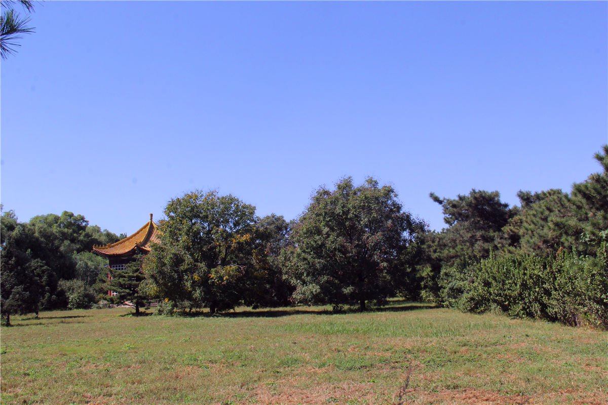九公山公墓那里好打车吗-2
