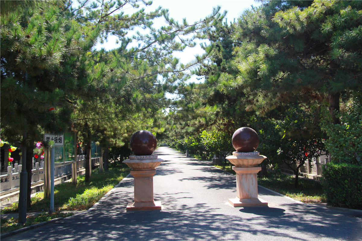 北京市朝阳区墓地陵园有哪些-1