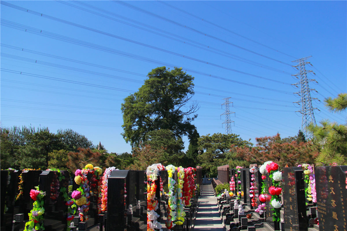 灵山宝塔陵园天使丹丹墓在哪个园区-1