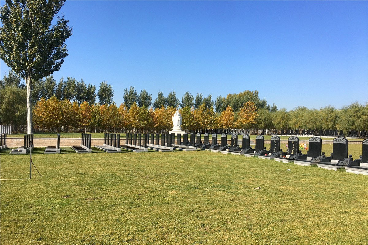 中华永久陵园树葬墓地多少钱-1
