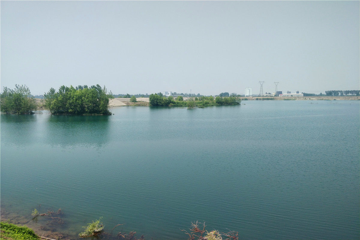 北京昌平区景仰园陵园墓地树葬售价是多少-1