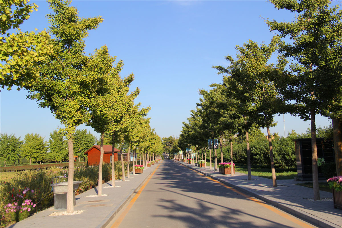 景仰园陵园墓地多少钱一平-2