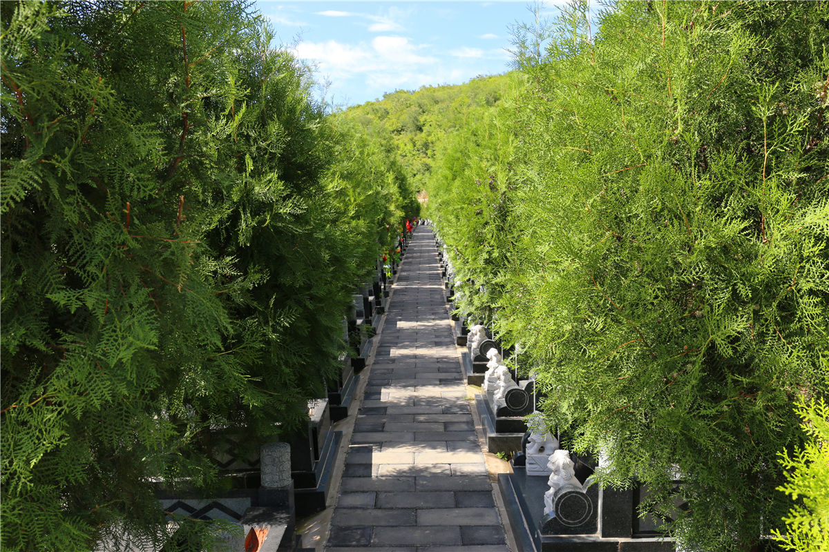 昌平龙潭村墓地价格多少钱-2