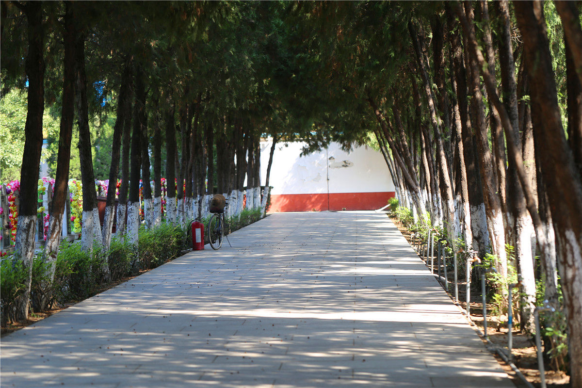 北京太子峪陵园怎么样北京太子峪陵园树葬价格是多少-1