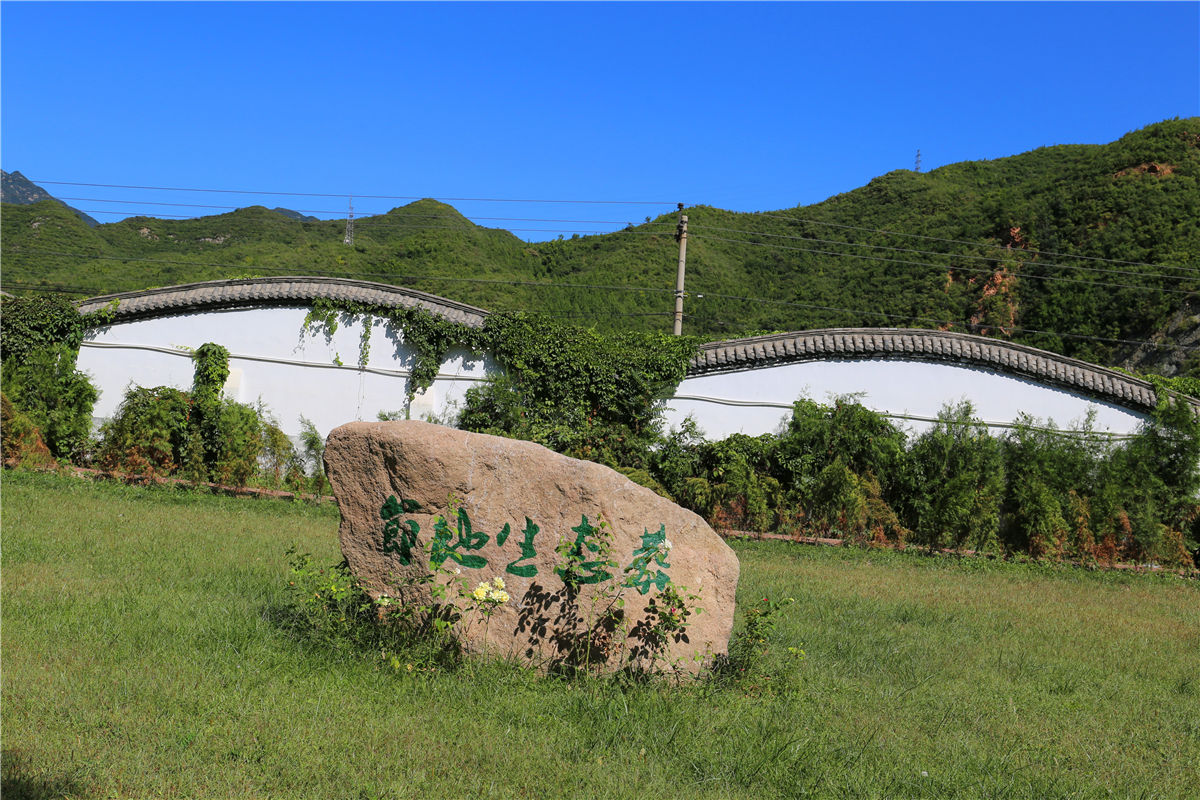 青龙山墓地多少钱一平方米-1