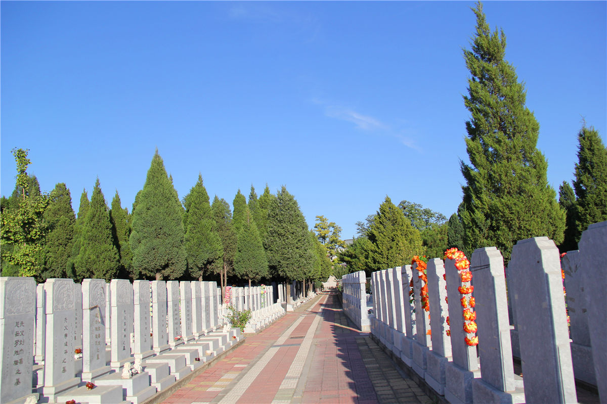 昌平区兴寿镇炎黄墓地价格多少-3