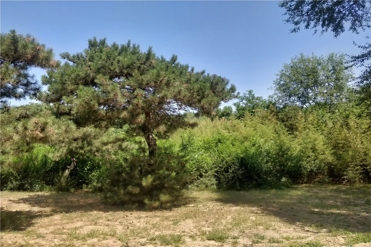 昌平华夏陵园,炎黄陵园,九里山二区公墓哪家好？-2