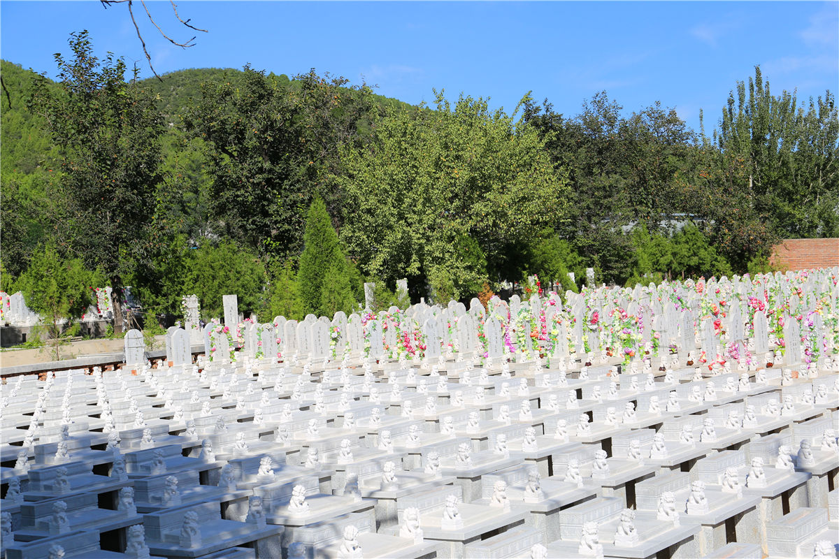北京八达岭陵园墓地通公交车吗？-1