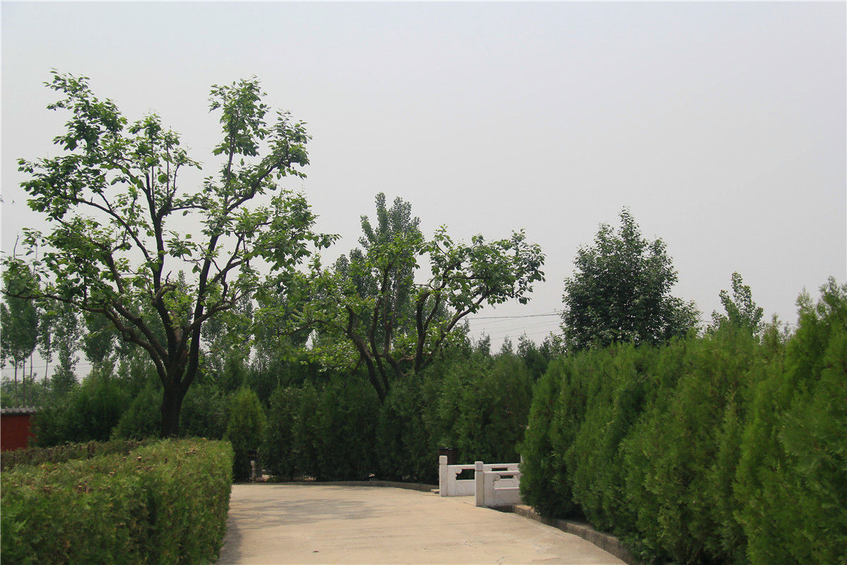 通惠陵园再购还有墓地吗-2