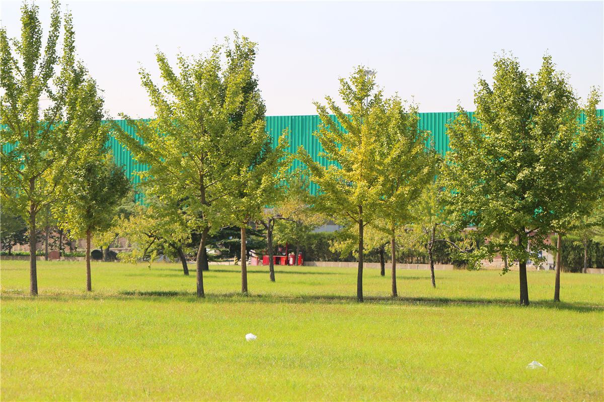 九公山陵园价格是多少钱