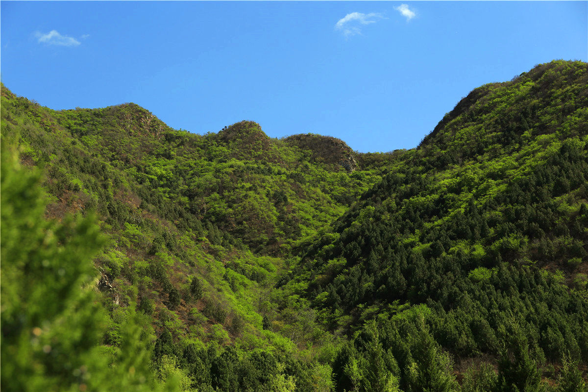 八达岭陵园墓地具体地址在北京哪个区-1