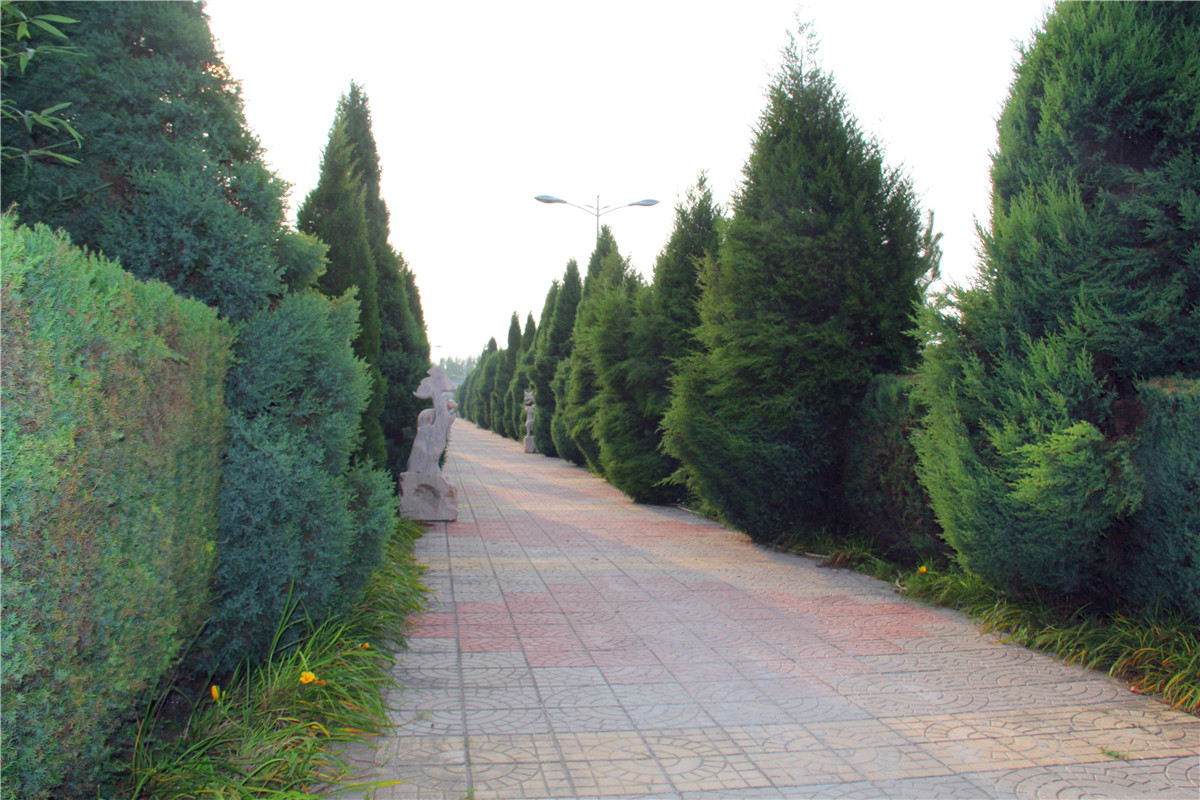 九公山陵园价格多少钱-3