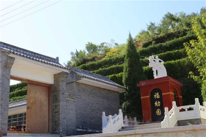 环境(5)