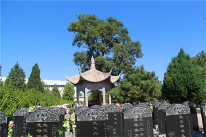 墓区(1)