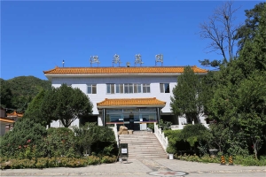 业务大厅