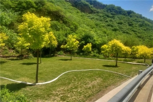 环境(1)