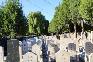 墓区