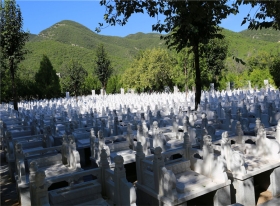 园区环境