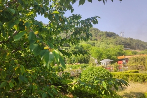 园区环境