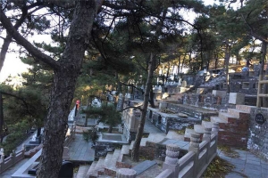 墓区
