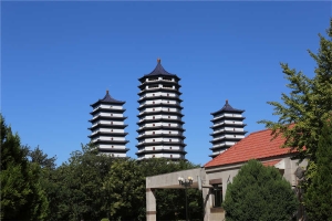 环境(1)
