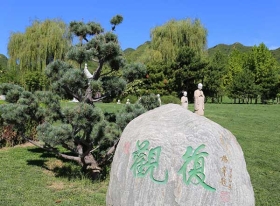 园区景观