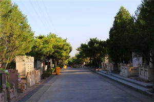 道路