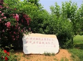 环境(2)