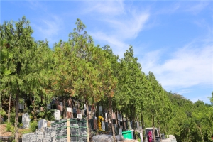 九里山公墓二区