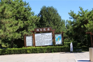 环境(4)