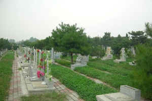 园区环境