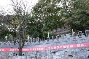 墓区(1)